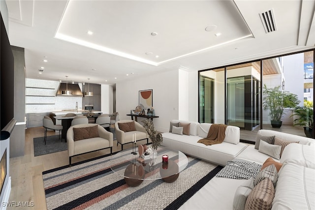 living room featuring sink, a tray ceiling, and hardwood / wood-style floors