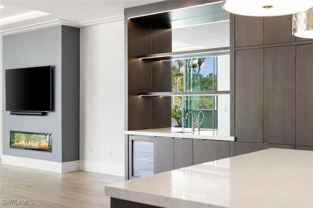 kitchen with ornamental molding, wine cooler, light hardwood / wood-style flooring, and dark brown cabinets