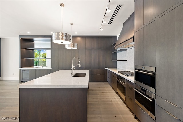 kitchen with light hardwood / wood-style floors, sink, hanging light fixtures, appliances with stainless steel finishes, and premium range hood