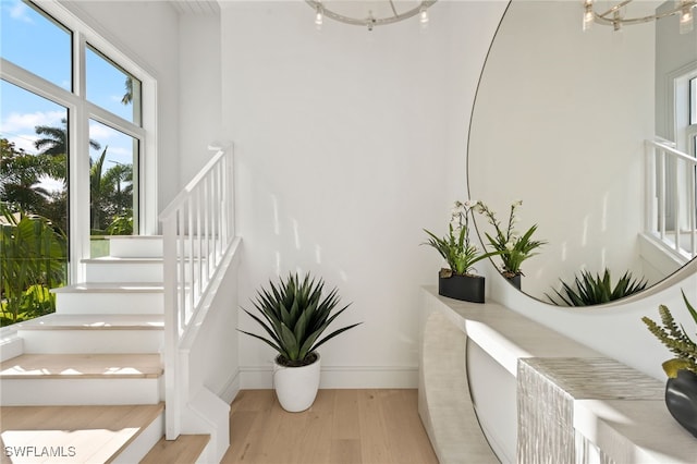 staircase featuring hardwood / wood-style floors