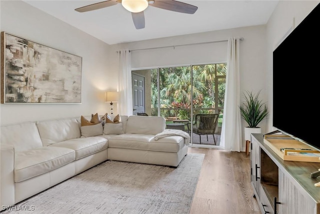 living room with hardwood / wood-style flooring and ceiling fan