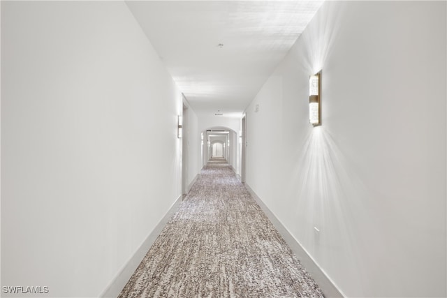 corridor featuring carpet