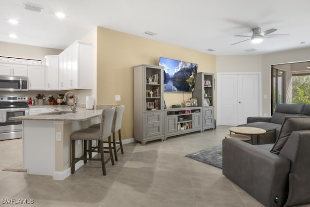 living room featuring sink and ceiling fan