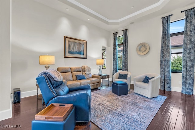 living room with a raised ceiling and dark wood-type flooring