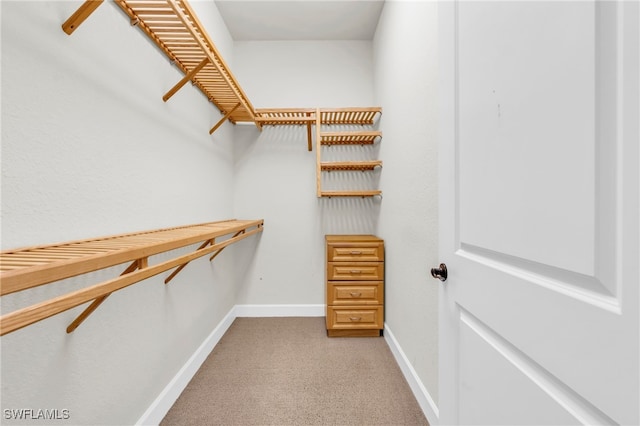 walk in closet featuring light colored carpet