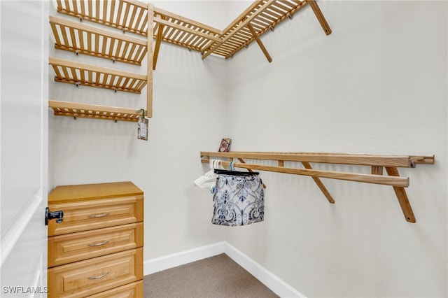 walk in closet featuring carpet