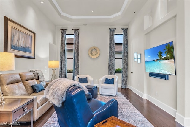 living room featuring a tray ceiling and dark hardwood / wood-style flooring