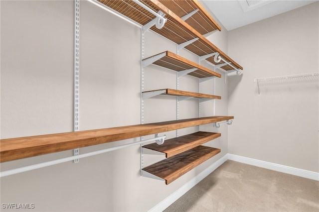 spacious closet featuring light colored carpet