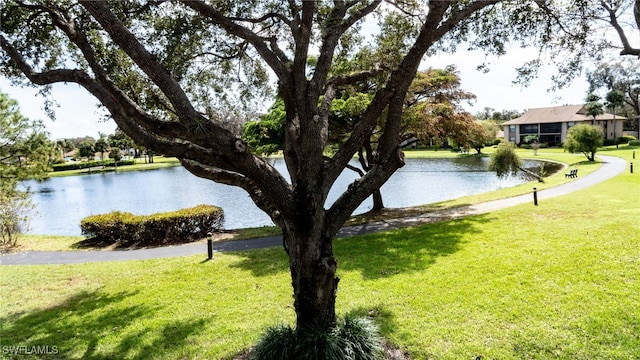 view of water feature