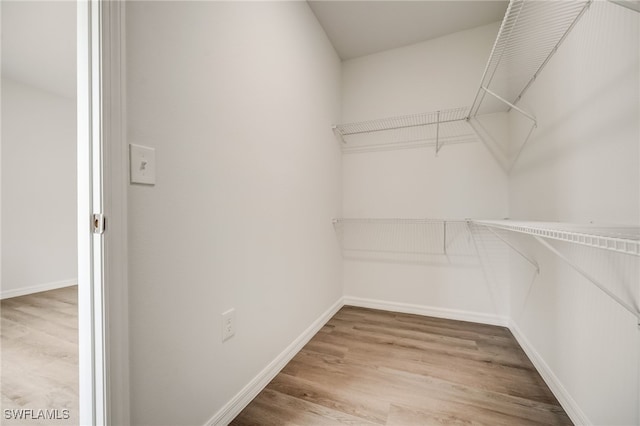 spacious closet featuring wood-type flooring