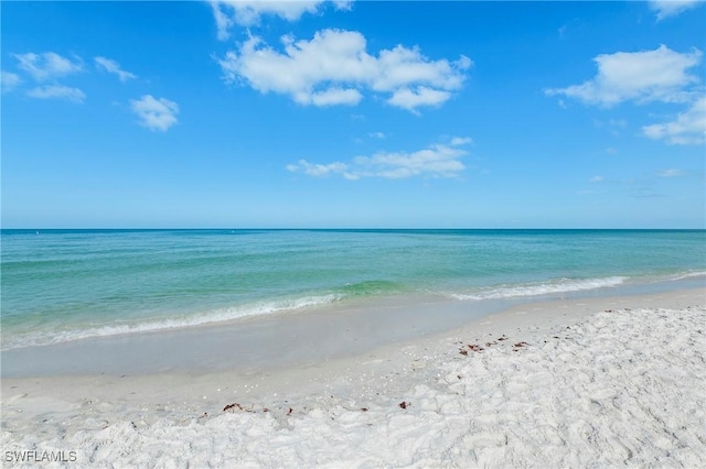 803 River Point Dr Unit 306B, Naples, FL 34102 - water view featuring a beach view