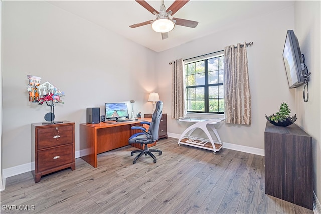 office area featuring light hardwood / wood-style floors and ceiling fan