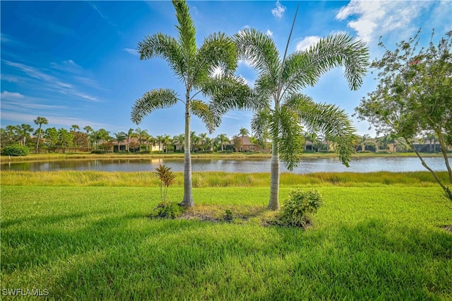 view of water feature