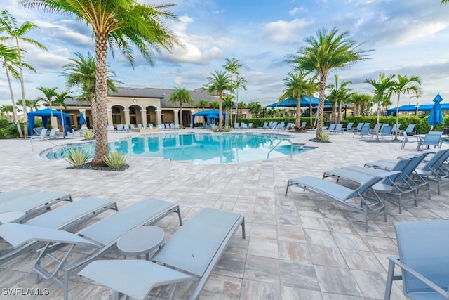 view of swimming pool with a patio area