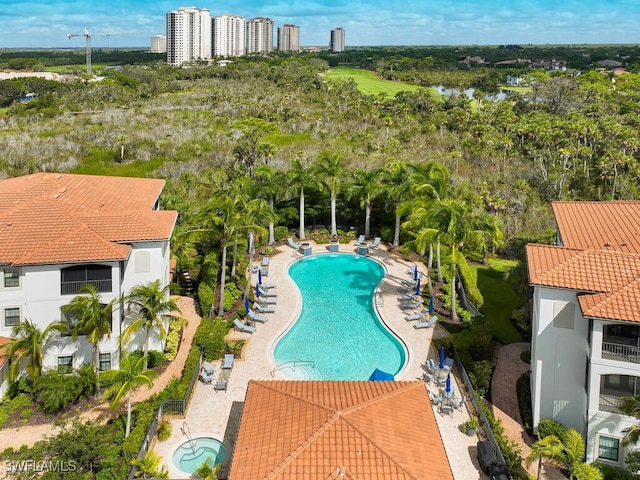 view of swimming pool featuring a patio