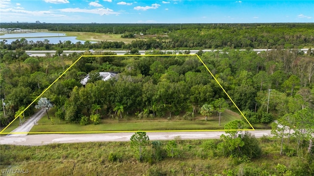 18351 Leetana Rd, North Fort Myers, FL 33917 - birds eye view of property with a water view and a forest view