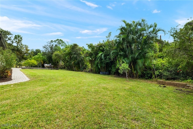 18351 Leetana Rd, North Fort Myers, FL 33917 - view of yard