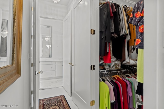 view of closet