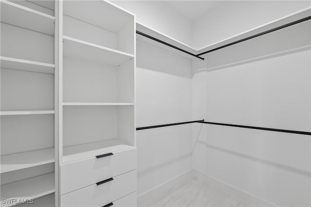 view of spacious closet