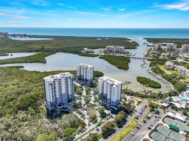 drone / aerial view with a water view