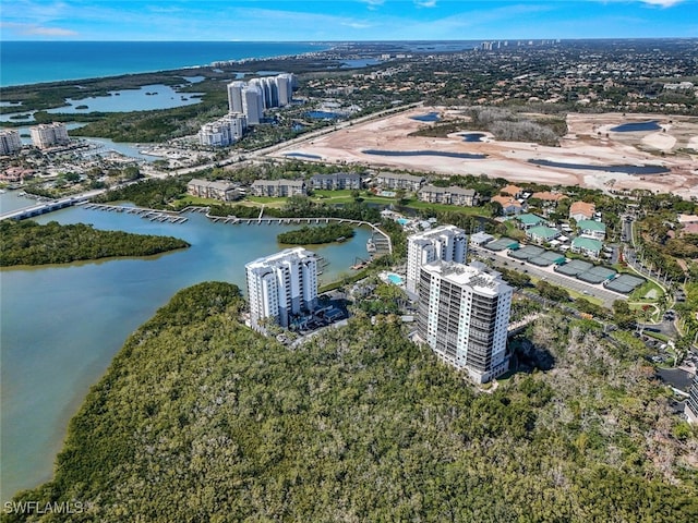 drone / aerial view with a city view and a water view