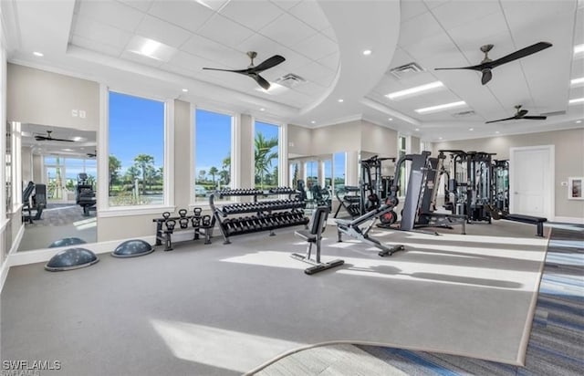 exercise room with a raised ceiling, ornamental molding, and carpet flooring