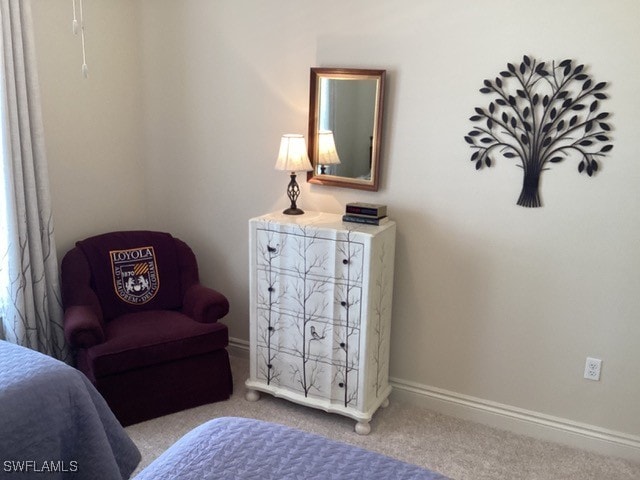 view of carpeted bedroom