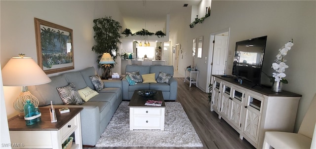 living room featuring dark hardwood / wood-style flooring