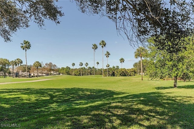 view of home's community with a lawn