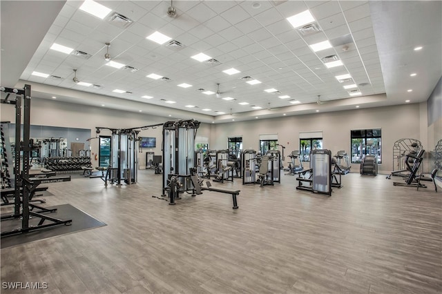 workout area featuring a paneled ceiling, hardwood / wood-style flooring, and a high ceiling