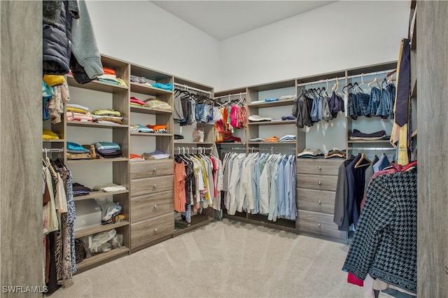 spacious closet with light colored carpet