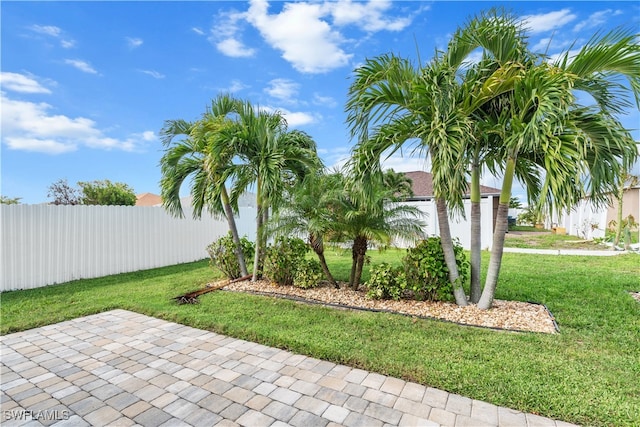 view of yard with a patio area