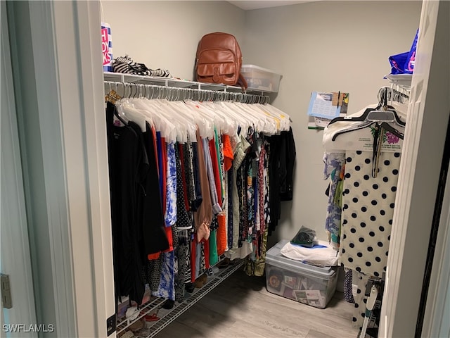 spacious closet with wood-type flooring