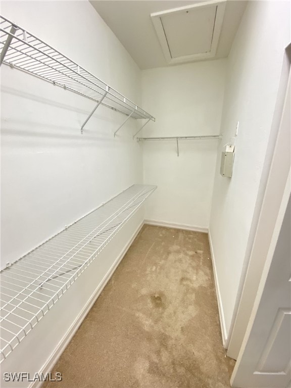 spacious closet featuring light carpet