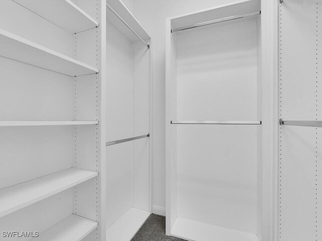 spacious closet featuring carpet floors