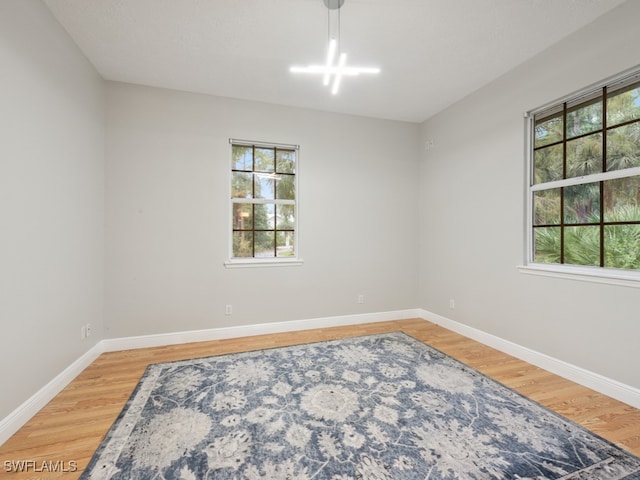 unfurnished room featuring wood-type flooring and a healthy amount of sunlight