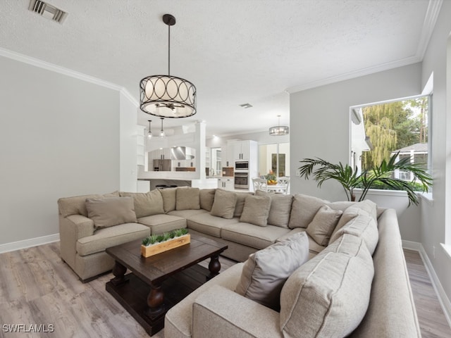 living room with crown molding, light hardwood / wood-style flooring, and a textured ceiling