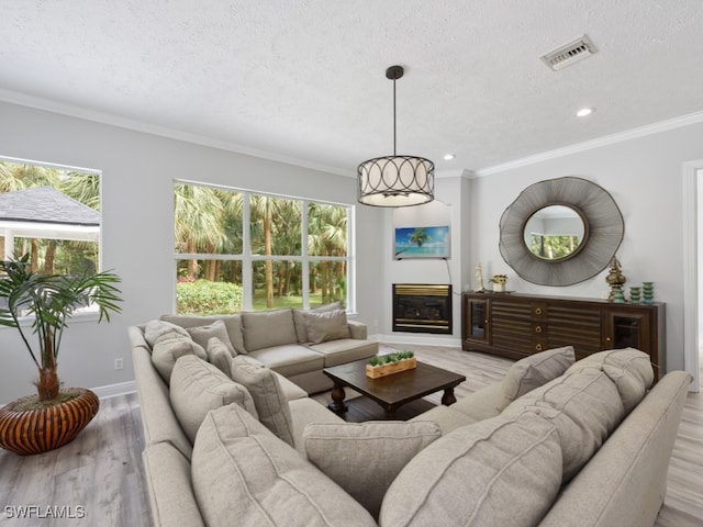 living room with crown molding, light hardwood / wood-style floors, and a textured ceiling