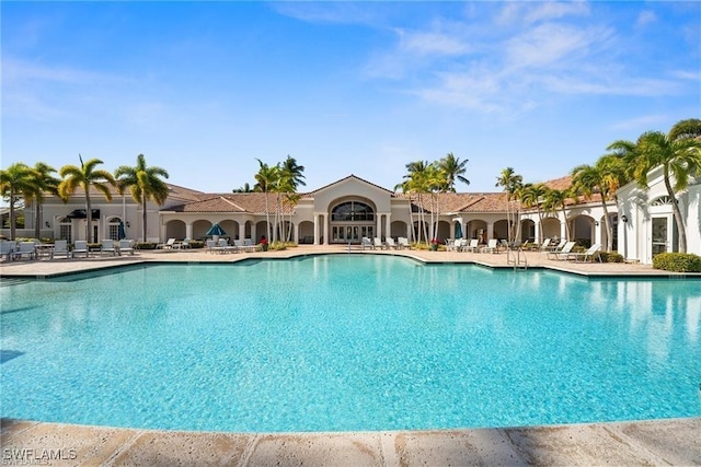 view of swimming pool with a patio area