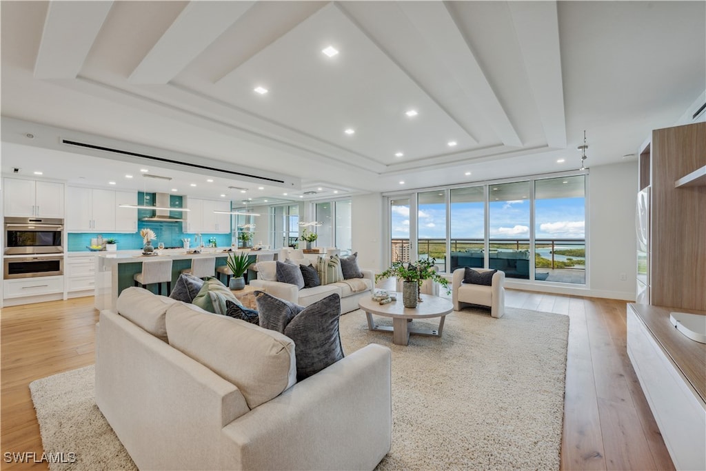 living room featuring light hardwood / wood-style flooring and a raised ceiling