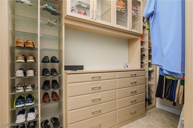 view of spacious closet