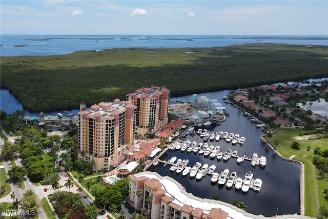 bird's eye view with a water view