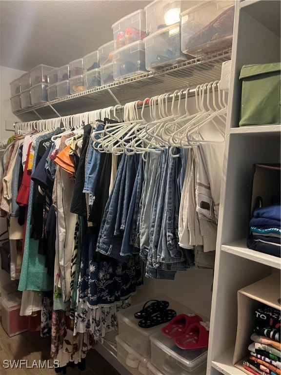 spacious closet featuring wood-type flooring