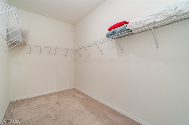 spacious closet with light colored carpet