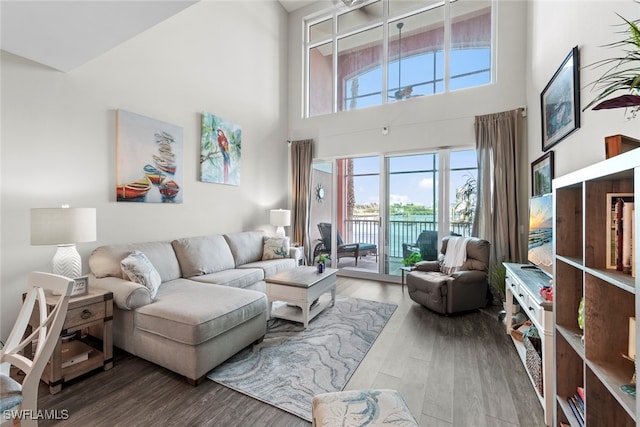 living room featuring a towering ceiling and hardwood / wood-style flooring