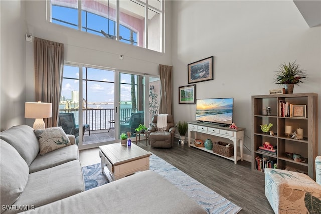 living room featuring a towering ceiling and hardwood / wood-style floors