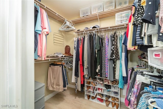 walk in closet with wood-type flooring