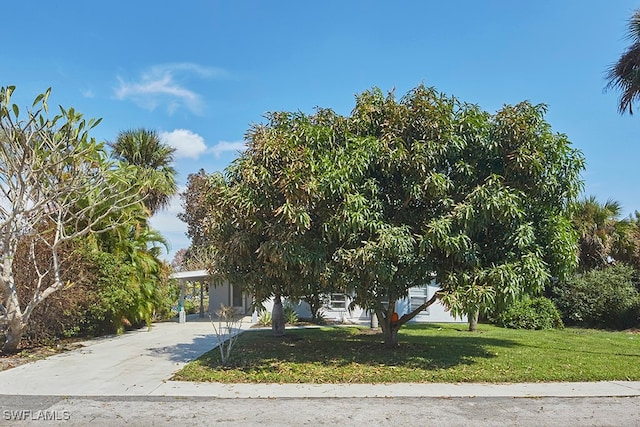 obstructed view of property with a front lawn