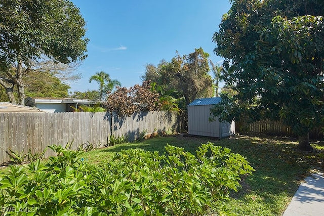 view of yard featuring a storage shed