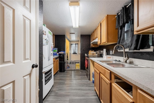 kitchen with stainless steel electric range, hardwood / wood-style floors, a textured ceiling, white fridge, and sink